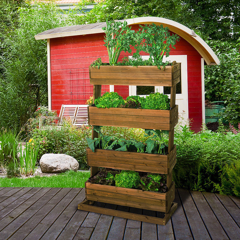Plate-bande surélevée à étages : un jardin culinaire dans un tout petit espace Photo 4