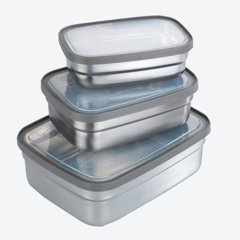 Boîtes à lunch étanches en acier inoxydable pour conserver et mariner