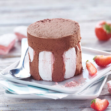 Image du produit pour 'Parfait glac au chocolat et Biscuits Roses de Reims'