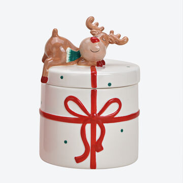 Image du produit pour 'Petite bote  biscuits : les friandises joliment et hermtiquement conserves'