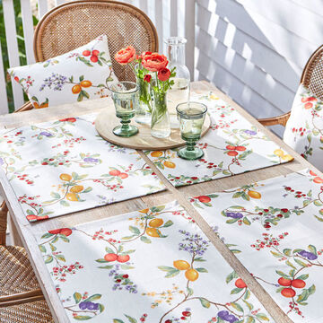 Image du produit pour 'Sets de table : solide avec protection de fibre Tflon(TM) aux motifs de fruits extrmement dtaills'