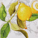 Image du produit pour 'Nappe en lin : linge de table toscan au motif de citrons mditerranens'
