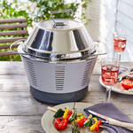 Image du produit pour 'Barbecue de table  charbon de bois : une chaleur de 250 C en 5 minutes grce au ventilateur turbo'
