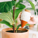 Image du produit pour 'Distributeur d'eau pour plantes en terre cuite - ray� vert/blanc, 250 ml'