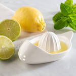 Image du produit pour 'Presse-citron en porcelaine, forme innovante pour un rendement en jus maximal'