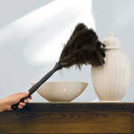 Image du produit pour 'Plumeau t�lescopique en plumes d'autruche - attire la poussi�re par �lectrostatique'