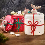 Image du produit pour 'Petite bote  biscuits : les friandises joliment et hermtiquement conserves'