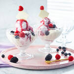 Image du produit pour 'lgantes coupes  glace franaises  usage multiple'