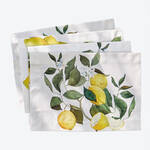 Image du produit pour 'Fra�cheur fruit�e�: sets italiens en lin d'origine'