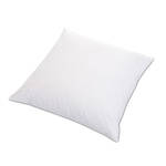 Image du produit pour 'Garniture de coussin d�coratif - plumes de canard 100 %, enveloppe coton, ind�formable'