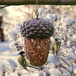 Image du produit pour 'Mangeoire en forme de gland pour nourrir les petits oiseaux'
