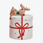 Image du produit pour 'Petite bote  biscuits : les friandises joliment et hermtiquement conserves'