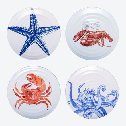 Image du produit pour ' Assiettes plates : Vaisselle maritime pour entres, poissons et fruits de mer dlicats'