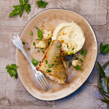 Image du produit pour '  Filet de sandre croustillant sur pure de chou-fleur'