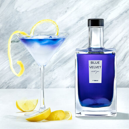Image du produit pour 'Gin Martini'