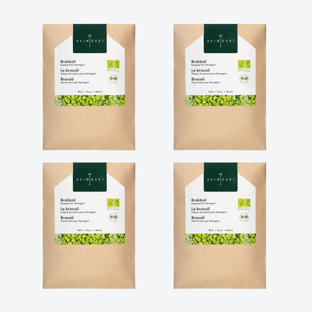 Image du produit pour 'Kit de culture bio de micro-pousses de brocoli &mdash; plaques de semences, lot de 4'