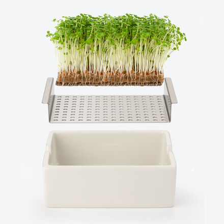 Image du produit pour 'Micro-pousses bio : fraches et saines tout au long de l'anne'
