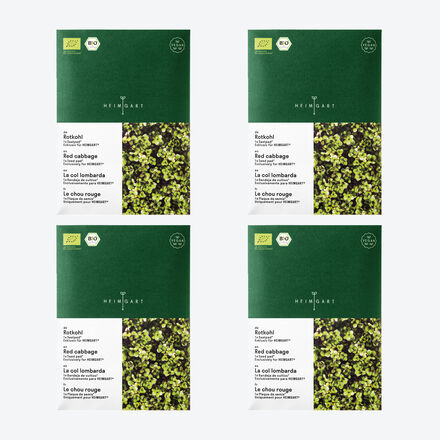 Image du produit pour 'Micro-pousses de chou rouge : de dlicieuses bombes de vitamines'