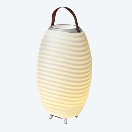 Image du produit pour 'Petit mod�le : lampe � haut-parleurs au son impressionnant et � lumi�re d'ambiance r�glable'