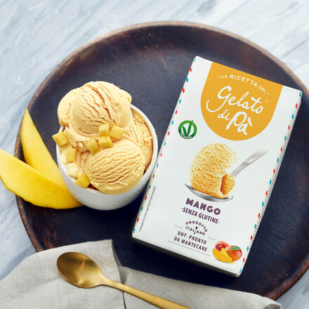 Image du produit pour 'Prparations pour glace  la mangue : l'art du gelato  porte de main'