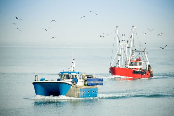 bateau de pêche