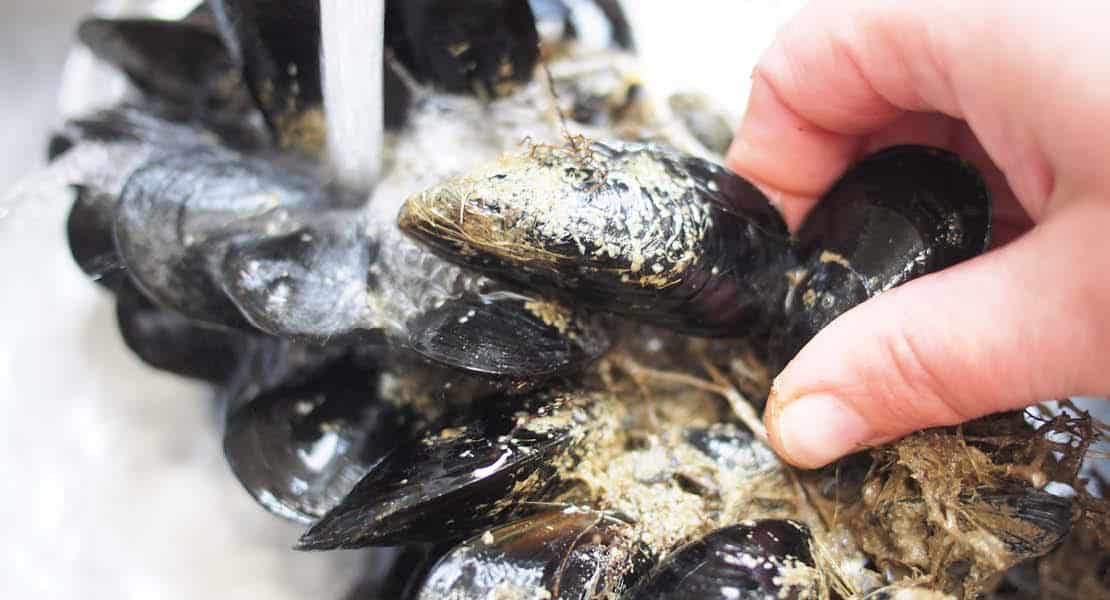 Lavage des moules 