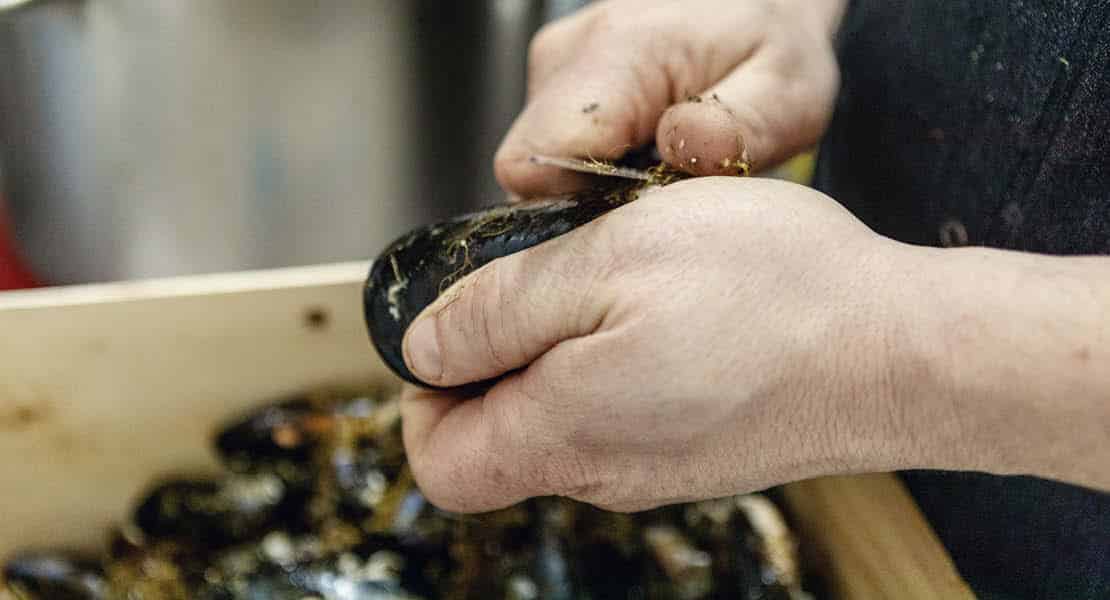 Nettoyage des moules