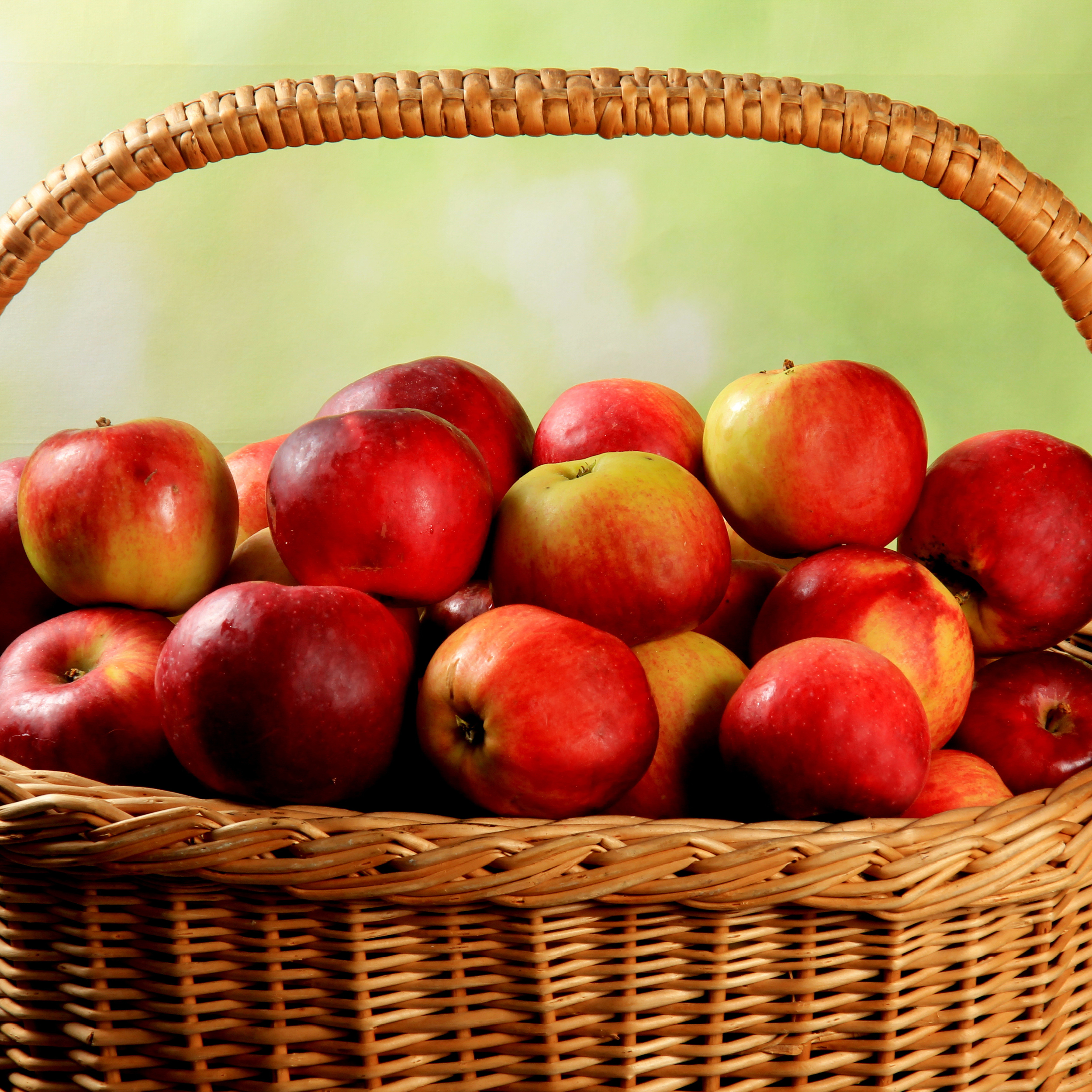 Pomme Fruits, variétés, production, saisonnalité